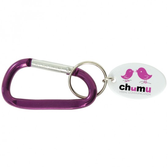 Custom Logo Small Carabiner Keytag