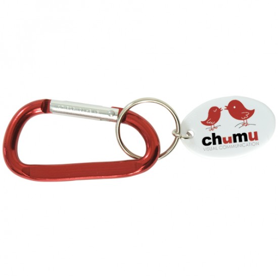 Custom Logo Small Carabiner Keytag